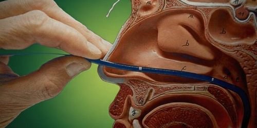 SERVIÇOS 8 Vídeo-nasolaringoscopia