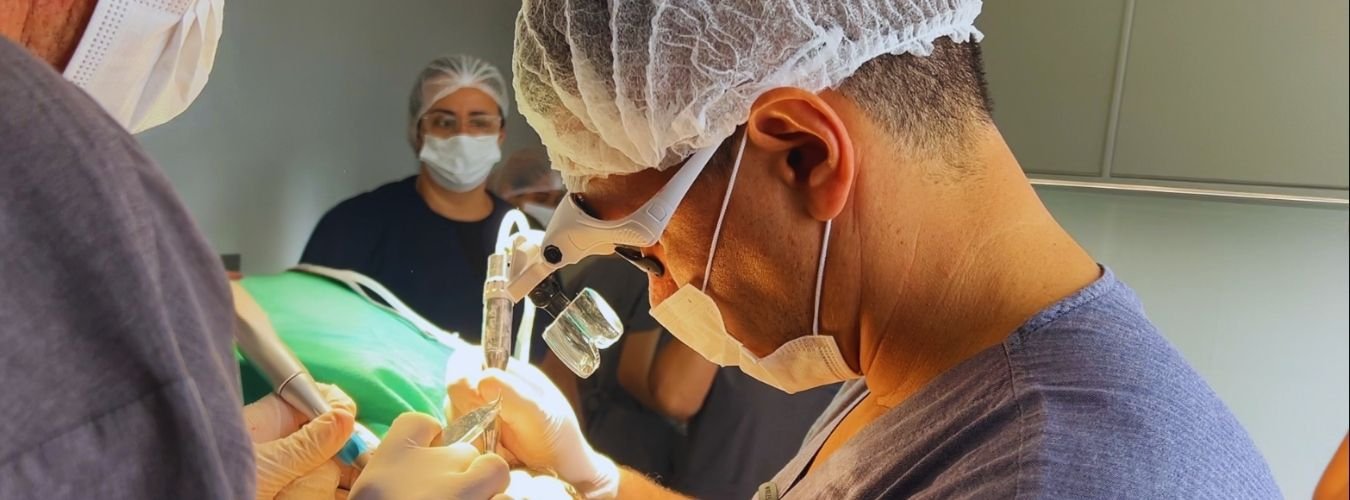 QUEM SOMOS 4 clinica vetice quem somos 4