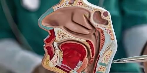 SERVIÇOS 3 Laringoscopia